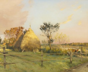 Summer morning on a field